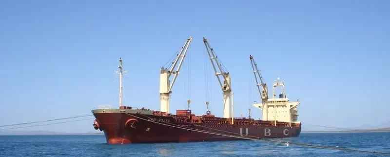 UBC TOKYO General Cargo IMO 9300752 photo 10