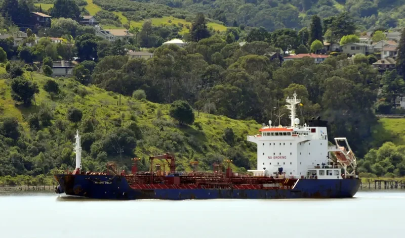 CHANG YOUNG Tanker IMO 9300788 photo 3