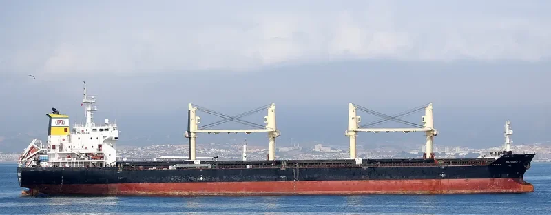 MILTIADES II Bulk Carrier IMO 9300831 photo 2