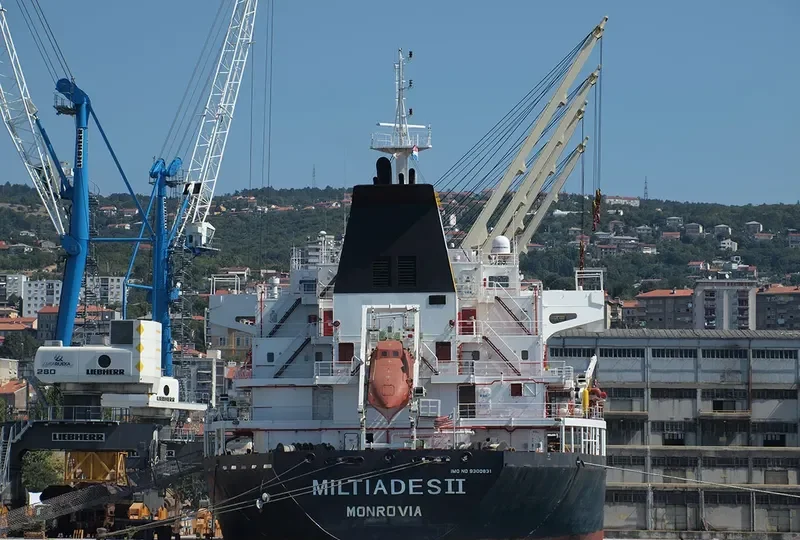 MILTIADES II Bulk Carrier IMO 9300831 photo 5