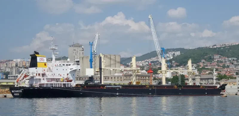 MILTIADES II Bulk Carrier IMO 9300831 photo 10