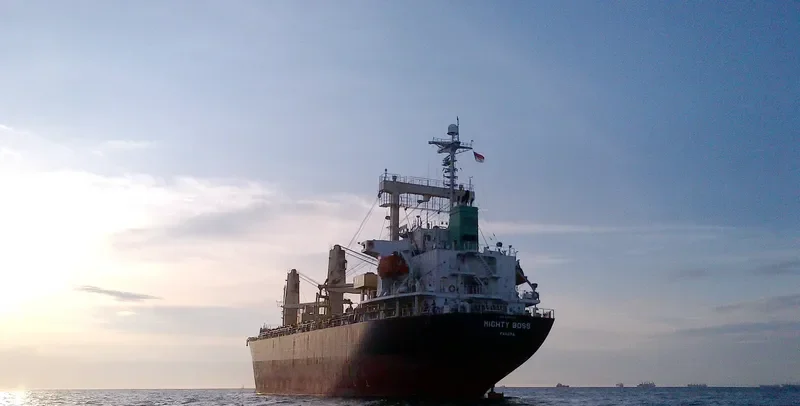 MIGHTY BOSS General Cargo IMO 9300946 photo 2