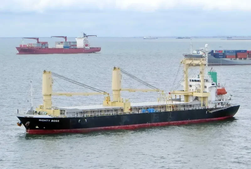 MIGHTY BOSS General Cargo IMO 9300946 photo 8