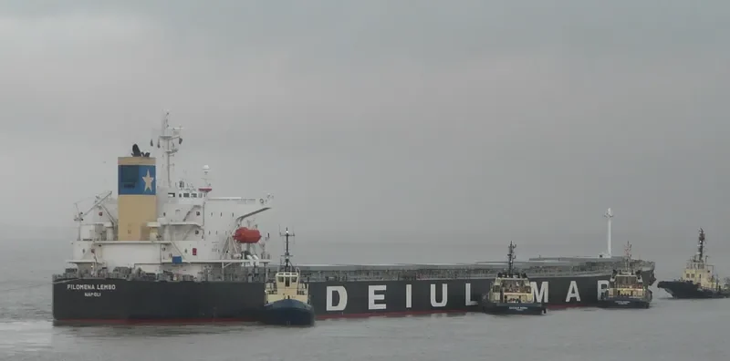 STAR GWYNETH Bulk Carrier IMO 9301031 photo 8