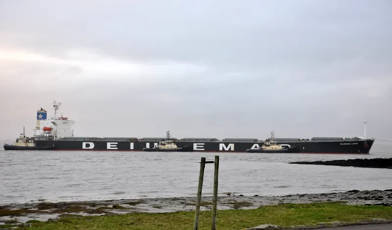 STAR GWYNETH Bulk Carrier IMO 9301031 photo 10