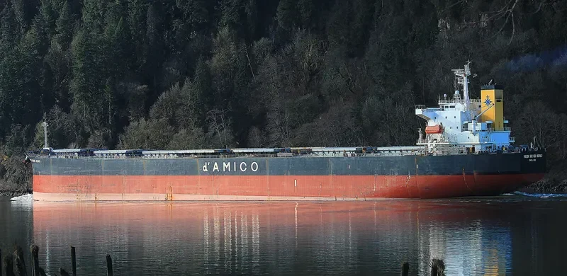 MEDI HONG KONG Bulk Carrier IMO 9301043