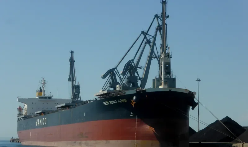 MEDI HONG KONG Bulk Carrier IMO 9301043 photo 2