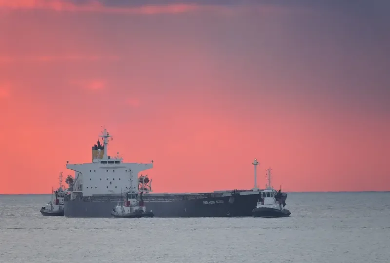 MEDI HONG KONG Bulk Carrier IMO 9301043 photo 5