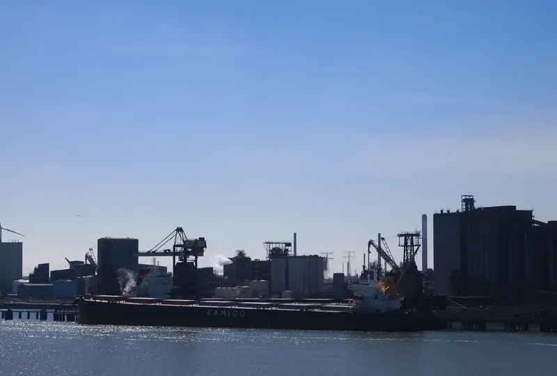 MEDI HONG KONG Bulk Carrier IMO 9301043 photo 7