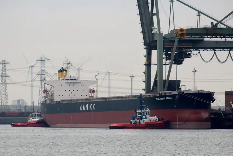 MEDI HONG KONG Bulk Carrier IMO 9301043 photo 9