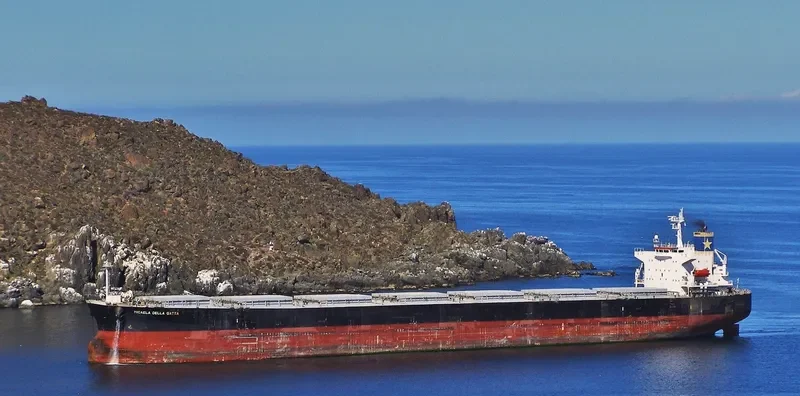 NAVIOS HARMONY Bulk Carrier IMO 9301055 photo 2