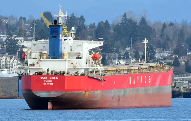 NAVIOS HARMONY Bulk Carrier IMO 9301055 photo 4