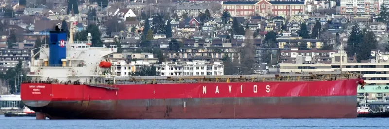 NAVIOS HARMONY Bulk Carrier IMO 9301055 photo 5