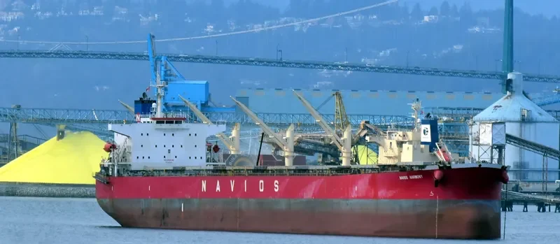 NAVIOS HARMONY Bulk Carrier IMO 9301055 photo 6