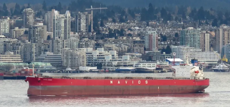 NAVIOS HARMONY Bulk Carrier IMO 9301055 photo 7