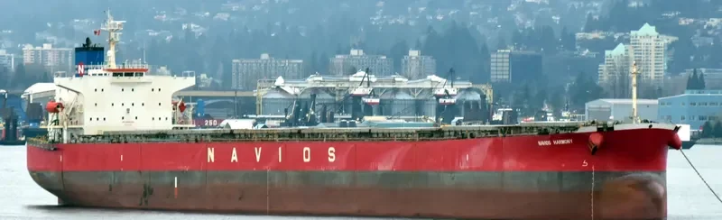 NAVIOS HARMONY Bulk Carrier IMO 9301055 photo 8