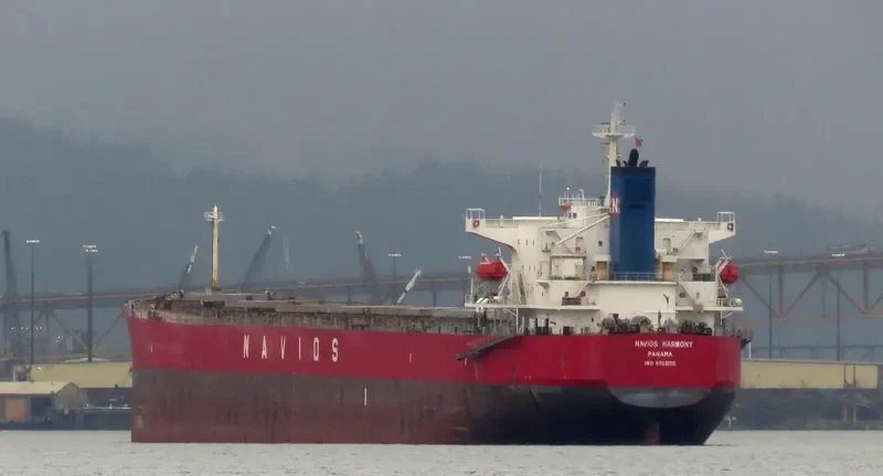 NAVIOS HARMONY Bulk Carrier IMO 9301055 photo 9