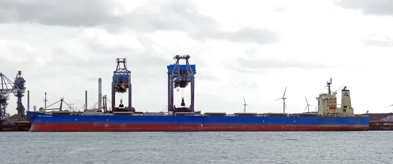GREAT NAVIGATOR Bulk Carrier IMO 9301079 photo 2