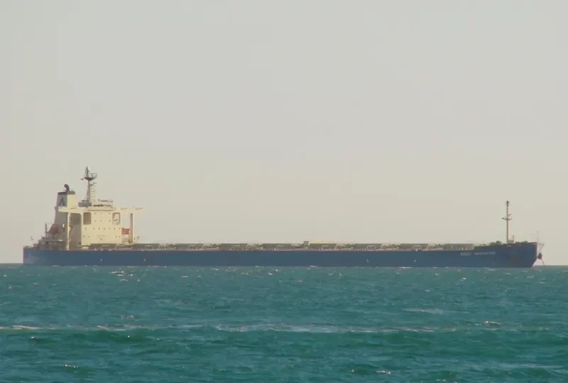 GREAT NAVIGATOR Bulk Carrier IMO 9301079 photo 9