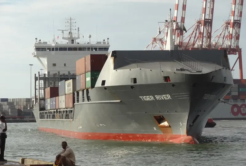 MOTIVATION D Container Ship IMO 9301108