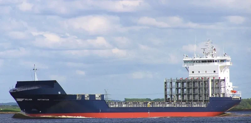 MOTIVATION D Container Ship IMO 9301108 photo 8