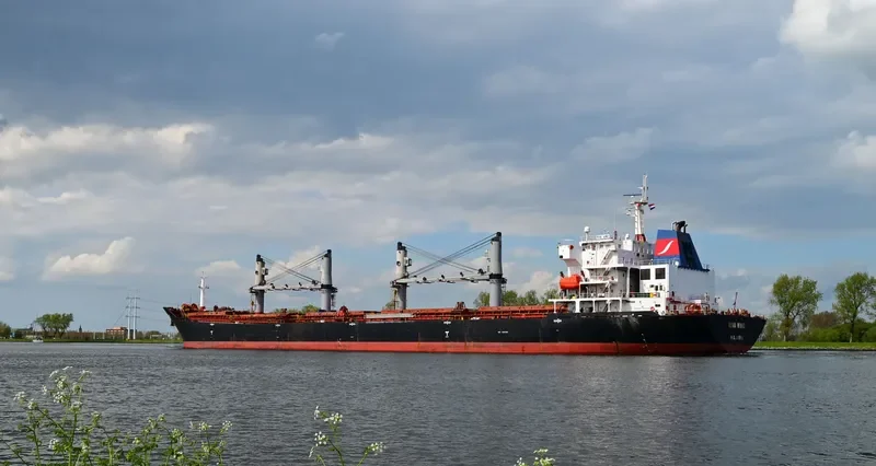 RIVA WIND Bulk Carrier IMO 9301196 photo 7