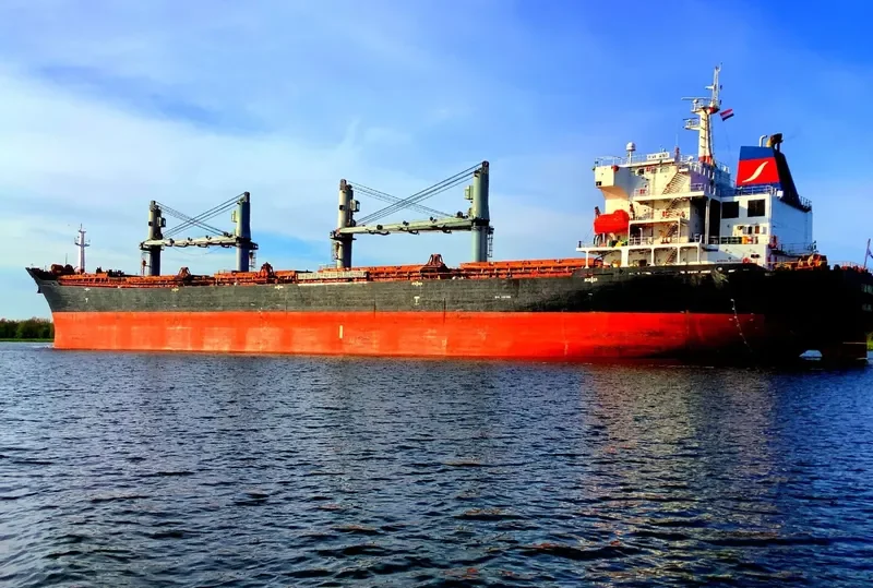 RIVA WIND Bulk Carrier IMO 9301196 photo 9