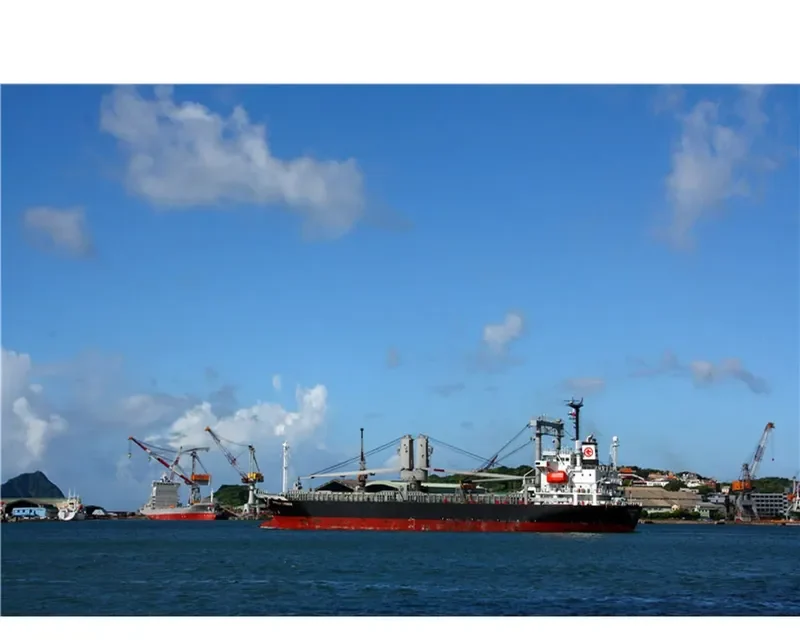 RAINBOW SYMPHONY General Cargo IMO 9301249 photo 6