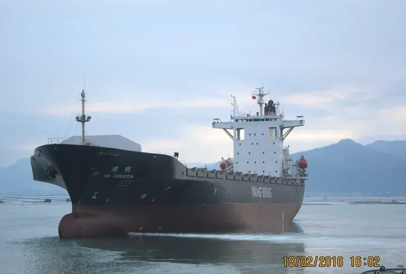 YM HORIZON Container Ship IMO 9301263