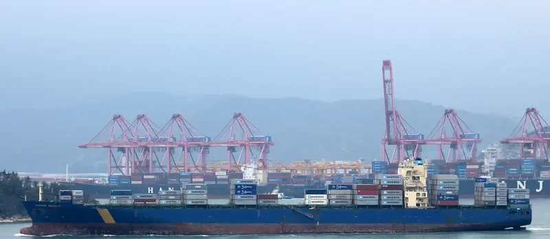 MSC DORINE Container Ship IMO 9301328 photo 2