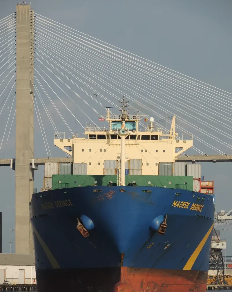 MSC DORINE Container Ship IMO 9301328 photo 4