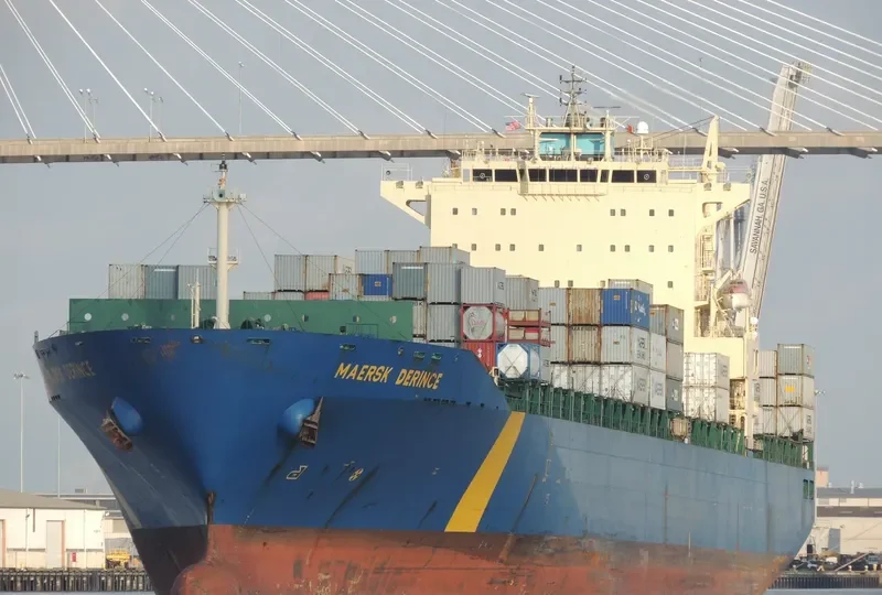 MSC DORINE Container Ship IMO 9301328 photo 5