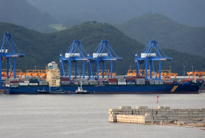 MSC DORINE Container Ship IMO 9301328 photo 7