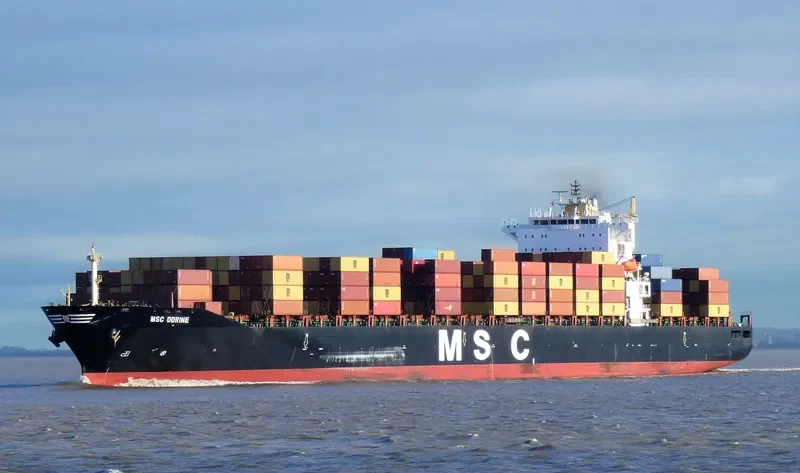 MSC DORINE Container Ship IMO 9301328 photo 9