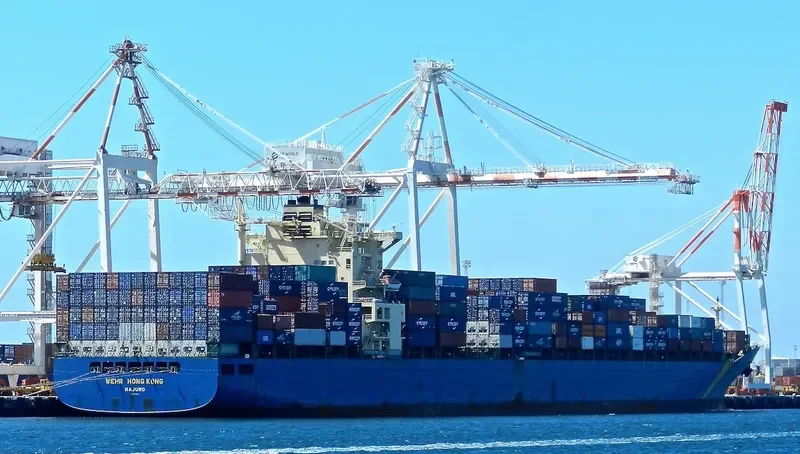 XIN FENG YANG PU Container Ship IMO 9301330 photo 4