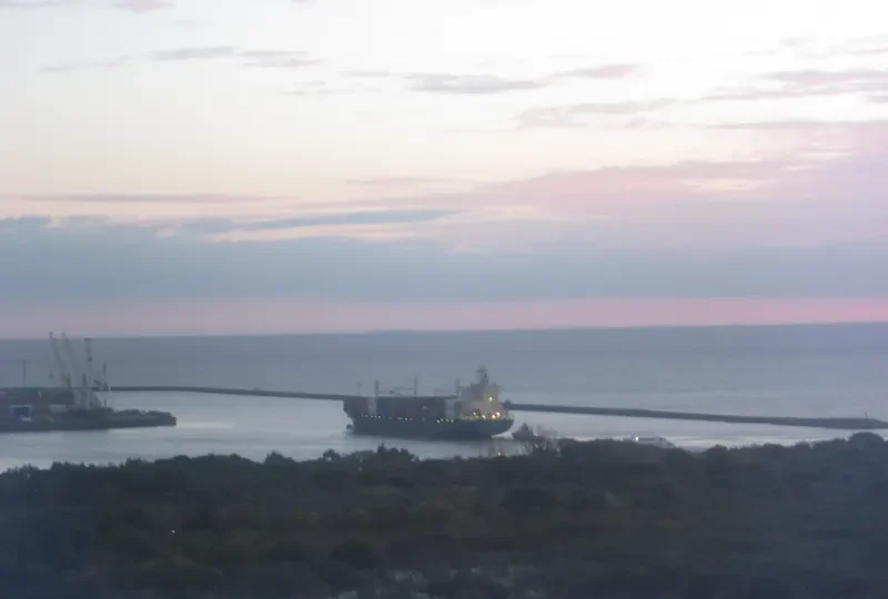 XIN FENG YANG PU Container Ship IMO 9301330 photo 7