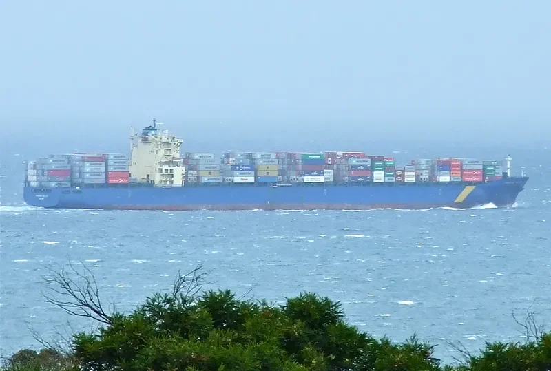 XIN FENG YANG PU Container Ship IMO 9301330 photo 8