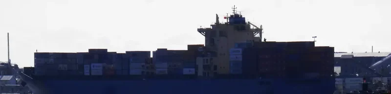 XIN FENG YANG PU Container Ship IMO 9301330 photo 9