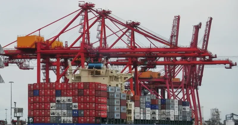 XIN FENG YANG PU Container Ship IMO 9301330 photo 10