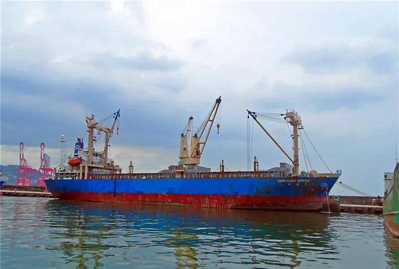 DERYOUNG SPRING General Cargo IMO 9301354