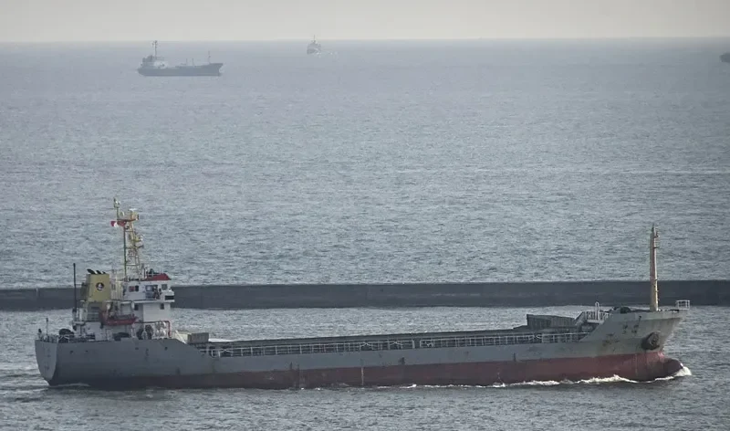 JIN YANG 18 Bulk Carrier IMO 9301378