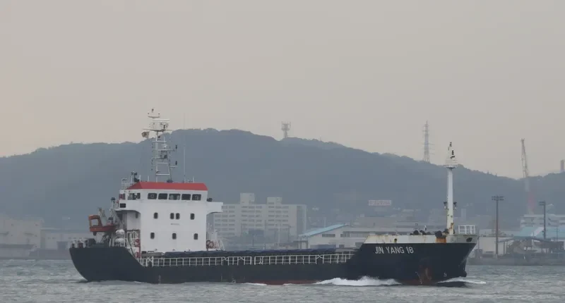 JIN YANG 18 Bulk Carrier IMO 9301378 photo 6
