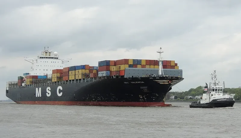 MSC VALENCIA Container Ship IMO 9301471 photo 2