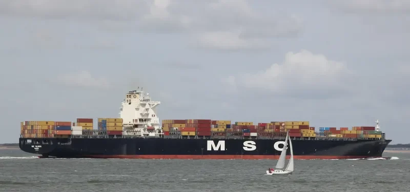 MSC VALENCIA Container Ship IMO 9301471 photo 7
