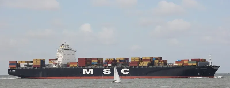 MSC VALENCIA Container Ship IMO 9301471 photo 8