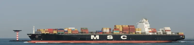 MSC PARIS Container Ship IMO 9301483 photo 2