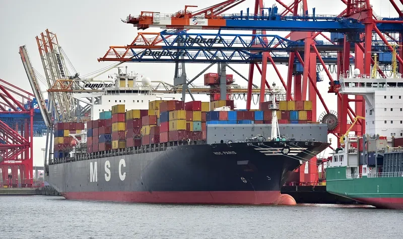 MSC PARIS Container Ship IMO 9301483 photo 3