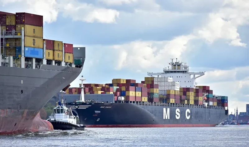 MSC PARIS Container Ship IMO 9301483 photo 5