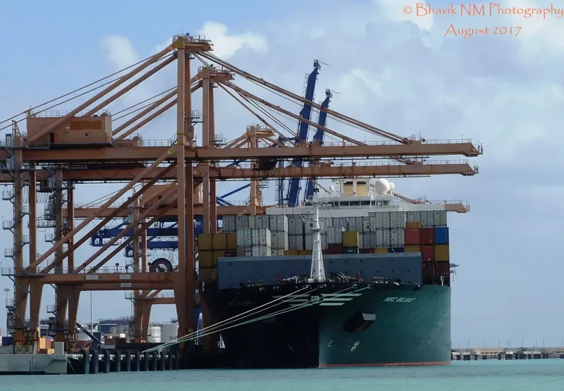 MSC BILBAO Container Ship IMO 9301495 photo 2