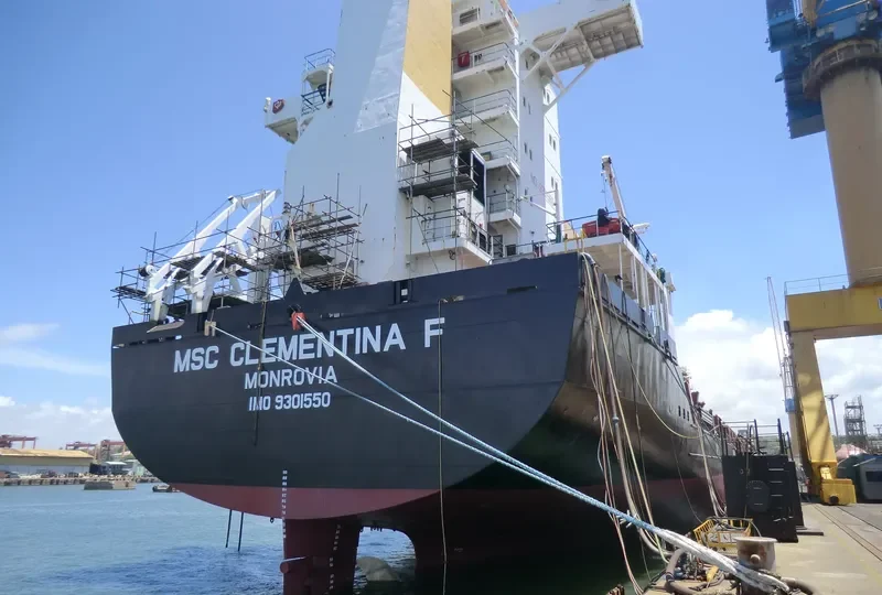 MSC CLEMENTINA F Container Ship IMO 9301550 photo 2
